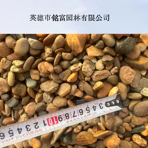 水洗鹅卵石 光滑圆润景观卵石 鱼池垫底鹅卵石厂家直供