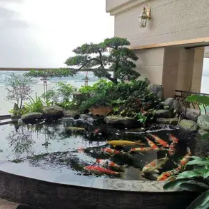 杭州锦鲤鱼养殖基地出售锦鲤