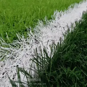 ��԰�����˹���ƺ ʩ���̻���ƤΧ�� ���������ɫ�����