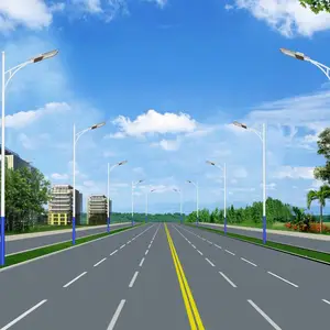来宾兴宾玉兰高杆道路灯杆景观防水庭院灯支持定制
