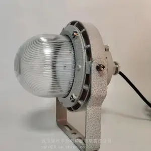 BLED9101-50W������ά��LED�� ú�ﻯ��������վ������ ����Ӧ����