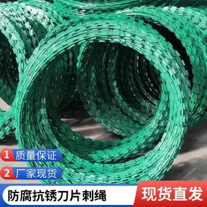�����ȶ�п��Ƭ���� ������������̷�����Χǽ������˿��