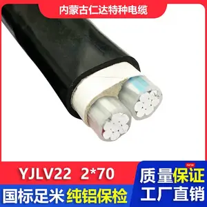 仁达电缆 国标电线 YJLV22 0.6/1KV 低压电力电缆 铝芯铠装线 2*50mm²