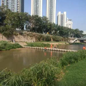 东莞物业河道治理费用 推荐咨询 美居庭环境科技供应
