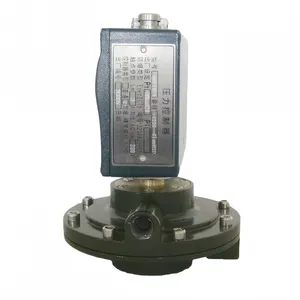 机械压力开关 型号: MT23-MTDP-CX30AJ2DN1303库号:M39915