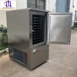 小型食品速冻柜 速冻面食 果蔬 华能低温厂家直供