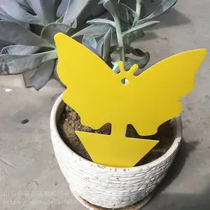 ��Ӭ�岶��� �ճ��۸����� �����ճ��� Ľ��Դ