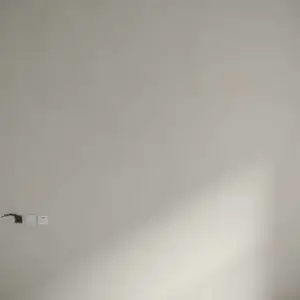 ����ǽ ������ˮ���ӷ� ���������� ���ȸ� ������
