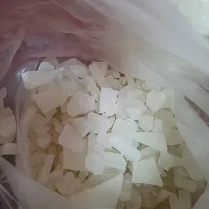 ����רҵ�������������� ��������������������Ѷһ��ͨ