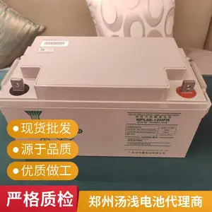 汤浅蓄电池(YUASA)NP110-12 12V110AH直流屏ups太阳能储能