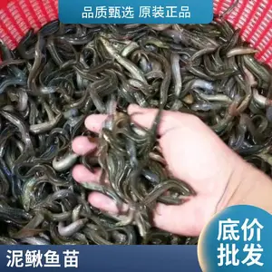 �����ֹ�������������***��/̨���������������ء���������������̴�������