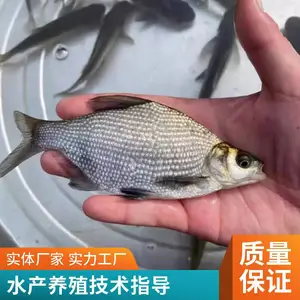 ���� �ƹ������������ 3-5�����޷�����