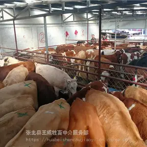 ������ţ���۸�Ʒ��ţ_�Ĵ���ţ��ֳ����