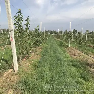 ������ӣ����޽Ӻ������� ����ƹ�ӣ��Ʒ�� ��ũũҵӣ����