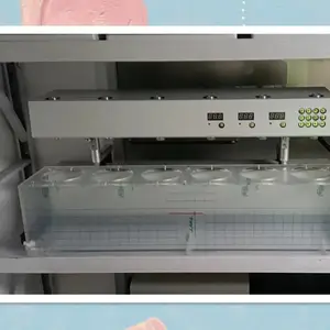 溶出度测试仪型号:LT09-RC-6 库号：M386755
