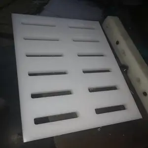 ʳƷ���ع����� �����͸�ʴ��ˮ���ǰ����ϩ��ѹ�ع��ǰ�