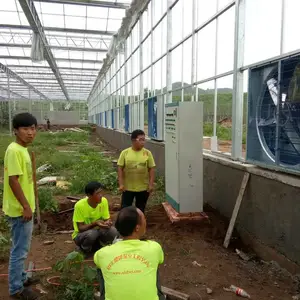 玻璃温室-智能温室大棚-温室建设 山东贝塔农业