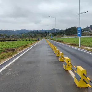 ��������·�ָ������ƶ�·��ʯ�� 60Բ��ˮ������Ӹ� ��������