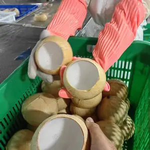 泰国椰皇壳榴莲甜品椰子冻甜品餐饮专用原只椰子壳