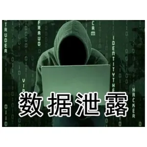 上海适合企业数据加密厂家 欢迎来电 上海迅软信息科技供应