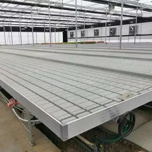 ��ϫʽ�紲��ʵ��ũҵ��ϸ������������