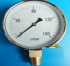 ���ͱ�(0-160mbar) �ͺ�:NO97-0-160��ţ�M363831