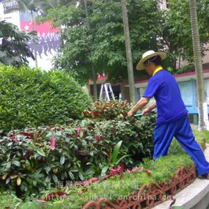 上海专业绿化养护公司?