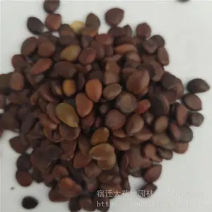 �����²�ժ��ľ���� Ұ�������� ��ѿ*** �۸���� ***