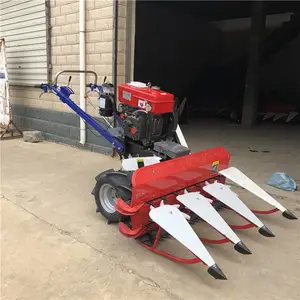 С��ũ����ո��ո��ˮ���ո������