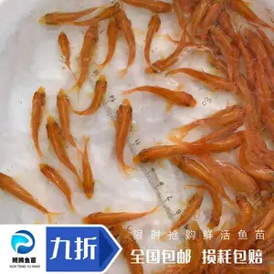 ����ˮ�� �����ͼƬ��ȫ ����˹�������ֳ���� ***