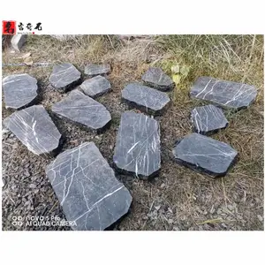 ��԰���̤��ʯ ����ͥԺ���ʯ԰�ֹ㳡����͡����·ʯ