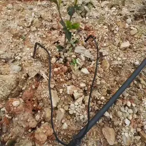 ��ˮ��˫ɰʯ������ ����PE�� �ι��