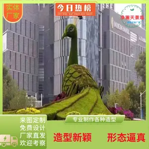 ����㳡�����̵� ��԰�̵� ����ֲ��ɻ��̵�����
