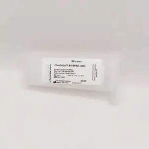 提供长 寿命荧光标本试片 玻璃显微镜 悌可光电