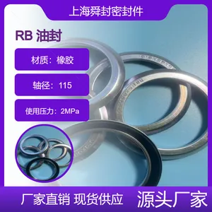 RB 电机油封 端面油封 95*115*5.5 RE 电厂专用 进口 国产
