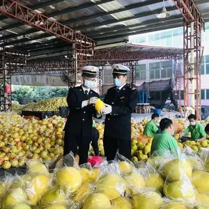 ʳƷ����ʿ羳½·���������Լ��������ע������ ����������������ʳƷ�����˵��Ϳ� ���ŷ���
