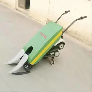 ���׽ո��ջ��ո�� ���������ĸ�ɹ�� С�������ո��