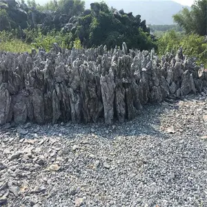 产地批发英德石 天津假山石 北京盆景石 山东青龙石