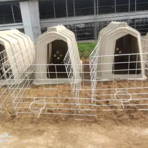 �Ƹ��� ţס�޼۸� ��ţ������ ��ţ�� ����ֱ��
