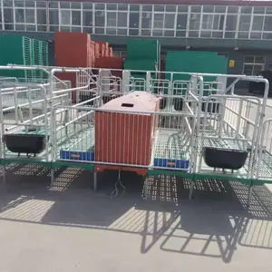 母猪产床保育两用床 全筋复合母猪 设备床