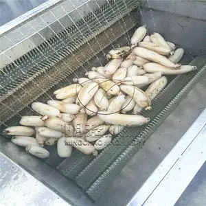 春季吃萝卜萝卜毛辊清洗机不损坏表皮可放心选购厂家直销