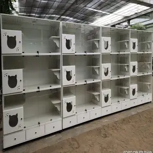 ������������è������è����è���ӱ�����ȫľ��è����ֹ���