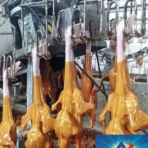 ���Զ����������߶��� Ѽ�Զ���ɱ�豸 ������ɱ��ˮ�߼۸�
