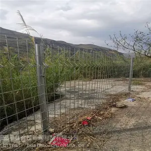镀锌铁丝围栏网 圈地钢丝围网 浸塑焊接网隔离栅