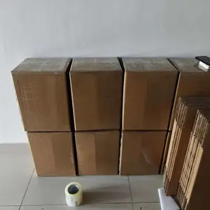 ̩��������������ĩ����ר��˫�嵽��