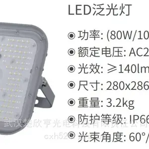 LED投光灯FDM-GST 100W钢铁厂大型仓库照明灯 防水防尘IP66 防腐WF2