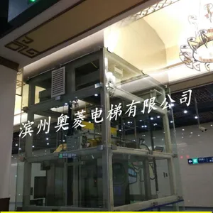 桓台旧楼加装电梯 安装钢结构井道 销售乘客电梯 al-1 1.5m/s