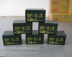 CSB蓄电池GP12170（铅酸）台湾进口电池/含安装费用