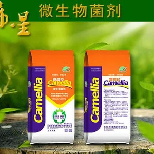 果树施用有机肥的方法
