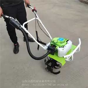 С���������������� ������ĳ������ʽ���ݻ� ΢��԰��������